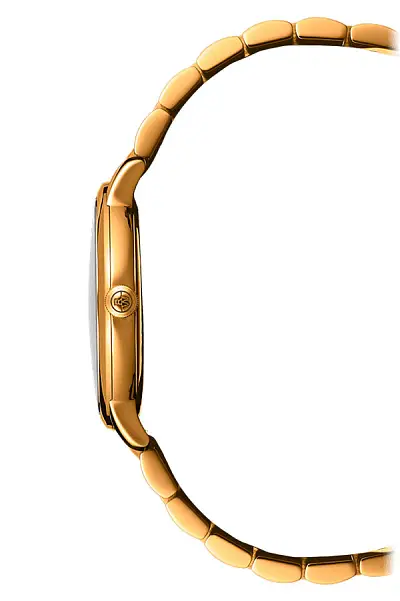 雷蒙威托卡塔 5485-P-00300