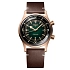 浪琴表 Legend Diver 古铜色 L3.774.1.50.2
