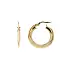 黄金扁圆形耳环，带条形扣