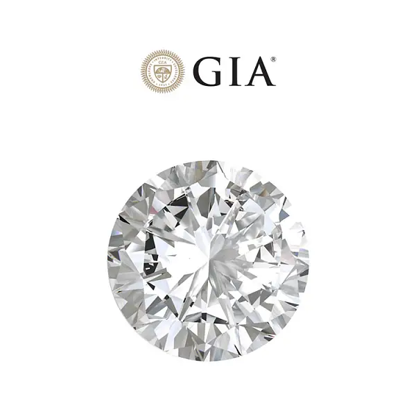 钻石 1,01ct F/VS1 GIA 证书