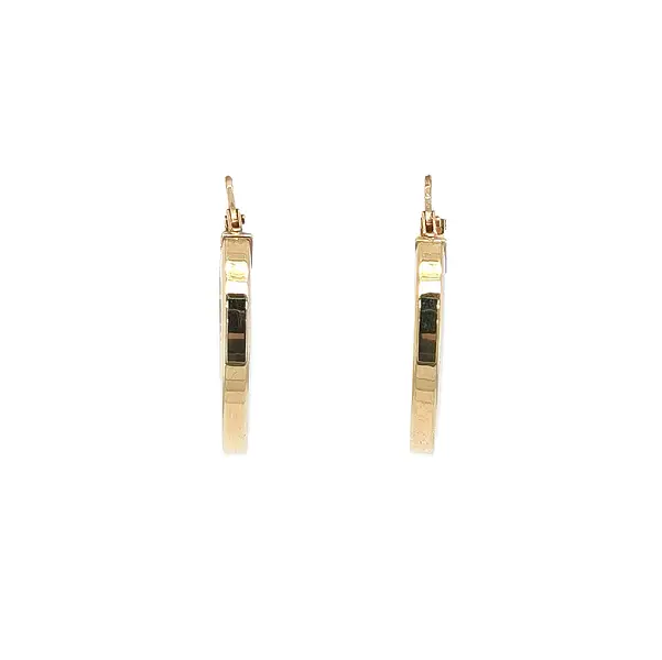 优雅黄金圈形耳环