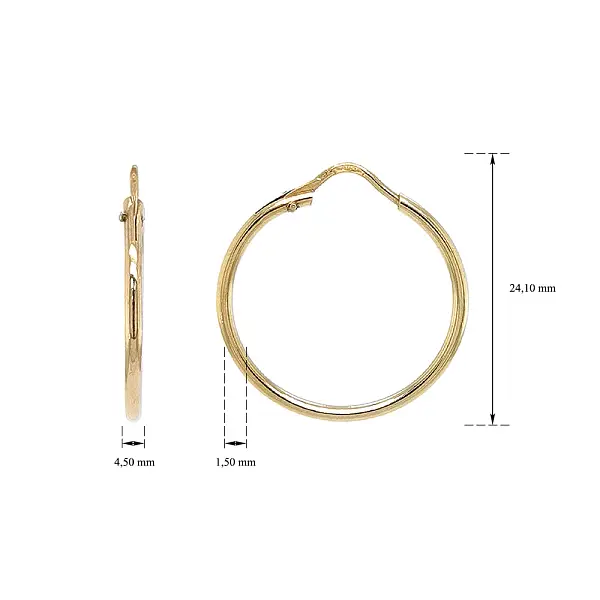 优雅永恒的金色圆形耳环