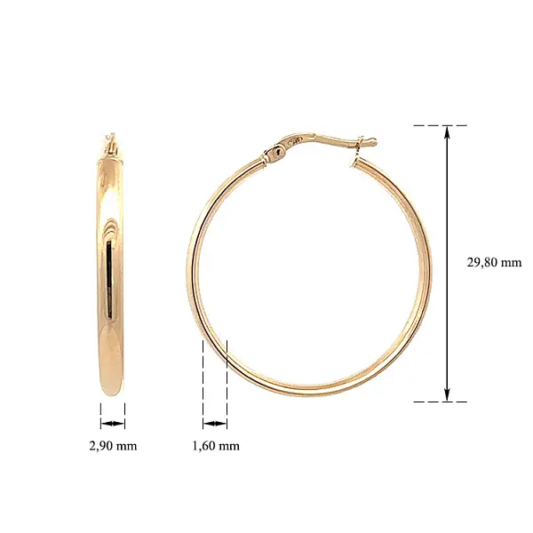 典雅黄金圆形耳环