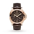 Luminor 1950 8 Days GMT 玫瑰金版 PAM 576