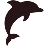 海豚